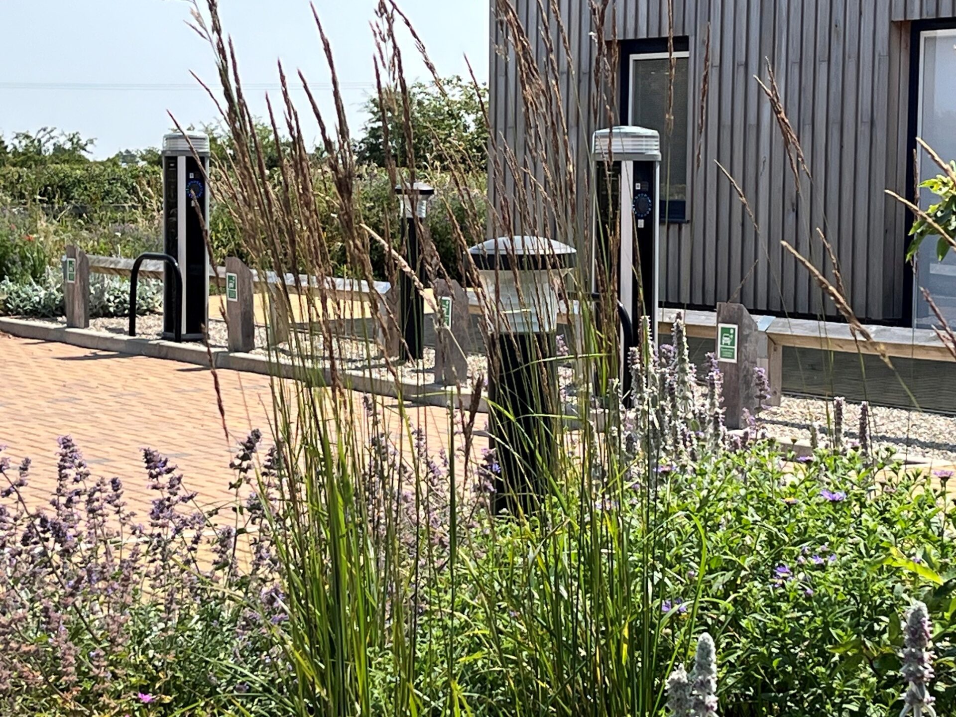 Sustainability and Circular Design
